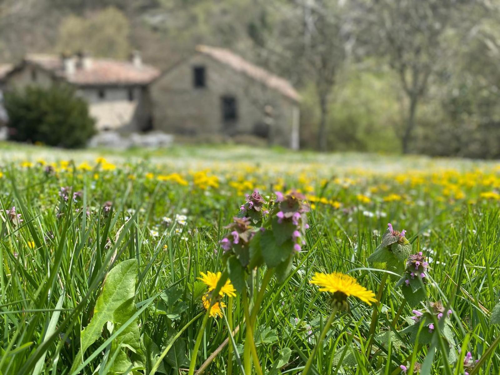 Borgo Corniola B&B Naturista Marradi Exterior photo