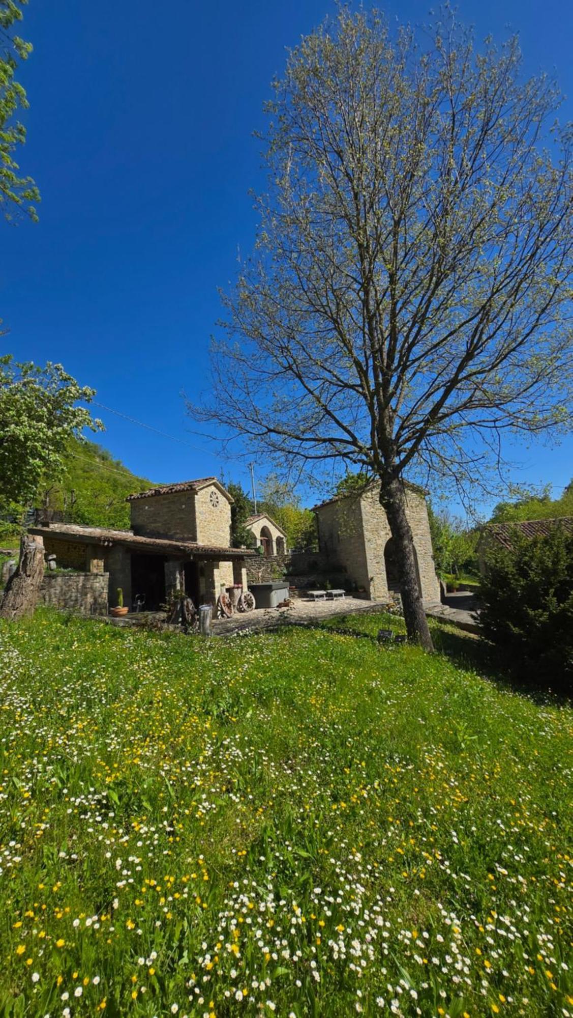 Borgo Corniola B&B Naturista Marradi Exterior photo